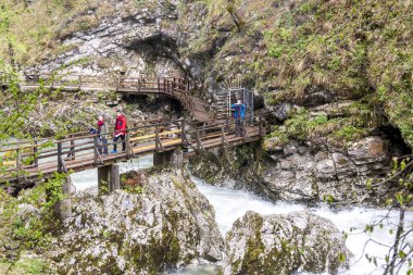 Vintagr vadisinde yürüyen insanlar - Slovenya.