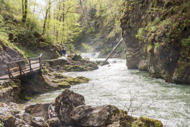 Vintagr vadisinde yürüyen insanlar - Slovenya.