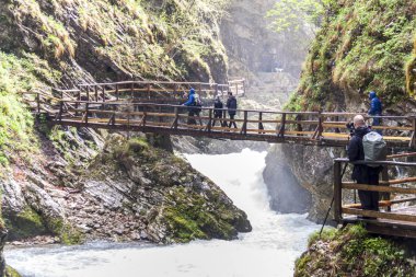 Vintagr vadisinde yürüyen insanlar - Slovenya.