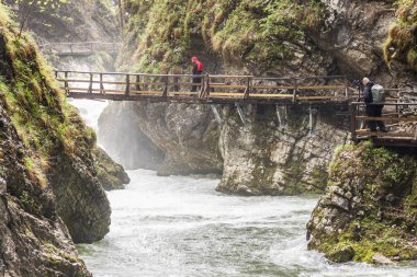 Vintagr vadisinde yürüyen insanlar - Slovenya.