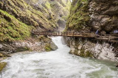 Vintagr vadisinde yürüyen insanlar - Slovenya.