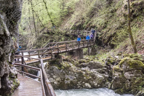 People walking at Vintagr gorge - Slovenia. — Stock Photo, Image