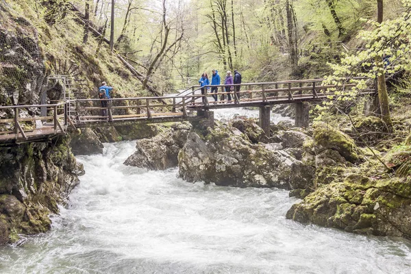 Personer som går vid Vintagr ravinen - Slovenien. — Stockfoto