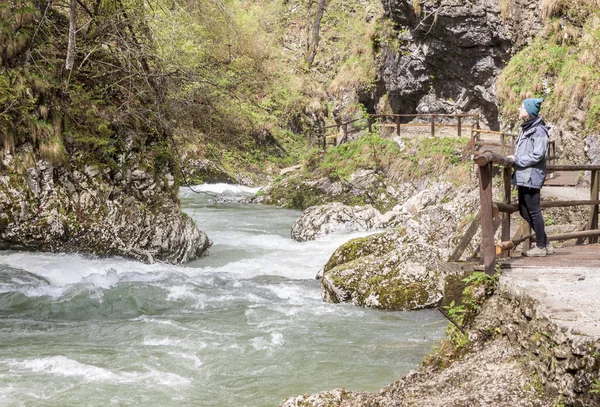 Personnes marchant dans la gorge de Vintagr - Slovénie . — Photo