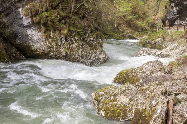 Garganta del Vintagr - Eslovenia . — Foto de Stock