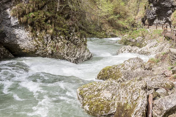 Vintagr gorge - Slovenia. — ストック写真