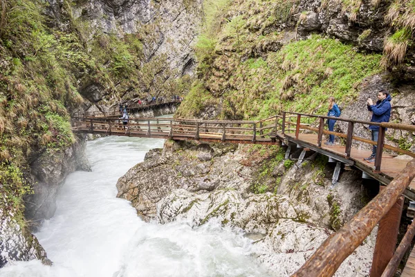 People walking at Vintagr gorge - Slovenia. — ストック写真