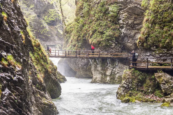 People walking at Vintagr gorge - Slovenia. — ストック写真