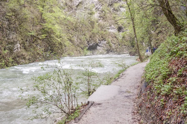 Vintagr gorge - Slovenia. — Stock Photo, Image