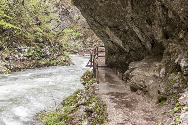 Ущелье Винтагр - Словения . — стоковое фото
