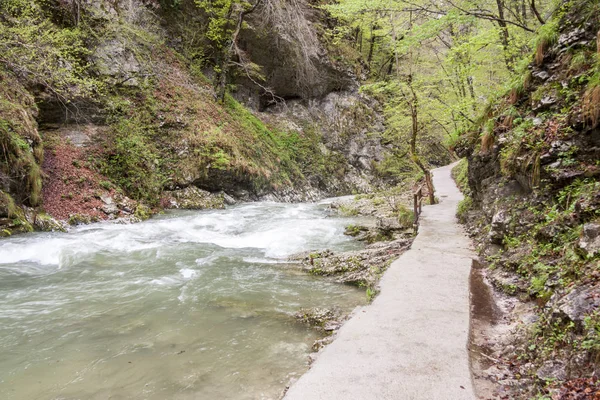 Vintagr gorge - Slovenia. — ストック写真