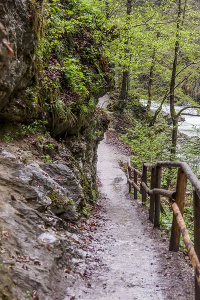 Vintagr gorge - Slovenia. — Stock Photo, Image
