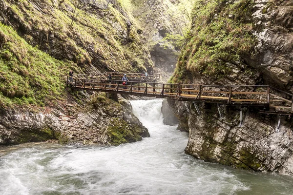 Personnes marchant dans la gorge de Vintagr - Slovénie . — Photo