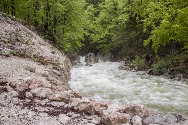 Vintagr gorge - Slovenia. — Stock Photo, Image