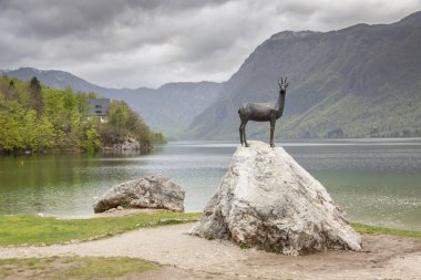Bohinjsko Gölü - Slovenya.