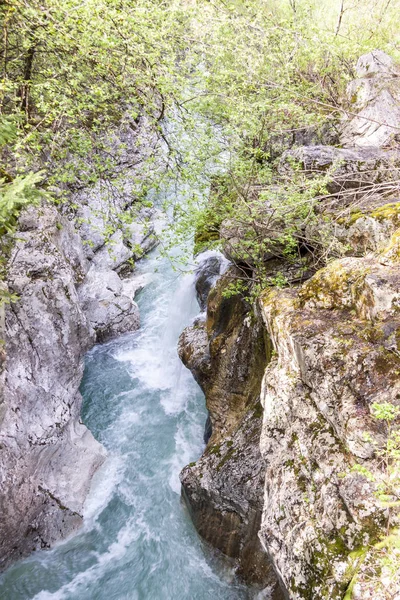 Velika Korita aan de rivier de Soce - Slovenië. — Stockfoto