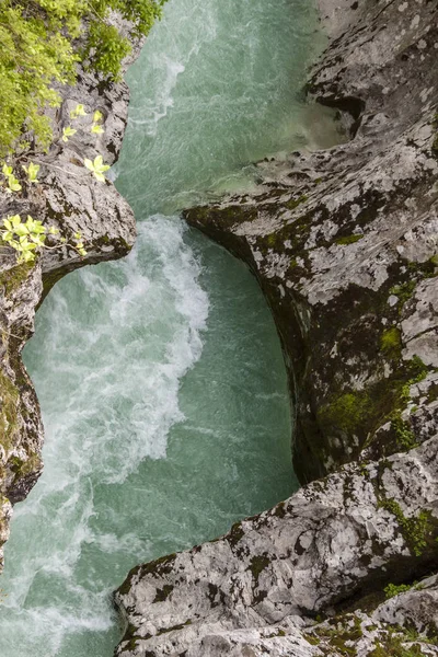 Velika Korita vid floden Soce - Slovenien. — Stockfoto