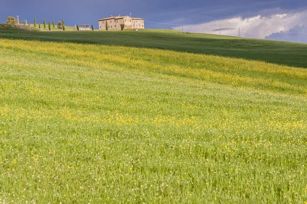 Gospodarstwo rolne w: Toscany, Italy. — Zdjęcie stockowe