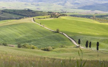 Tuscany landscape near Pienza village.
