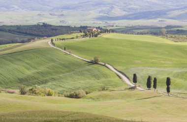 Tuscany landscape near Pienza village.