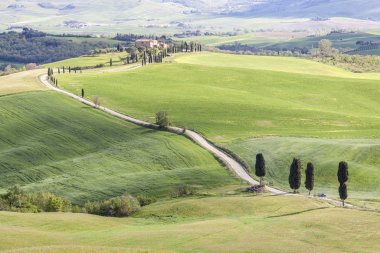 Tuscany landscape near Pienza village.