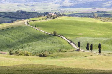 Tuscany landscape near Pienza village.