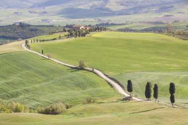 Tuscany landscape near Pienza village.