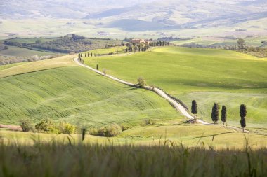 Tuscany landscape near Pienza village.