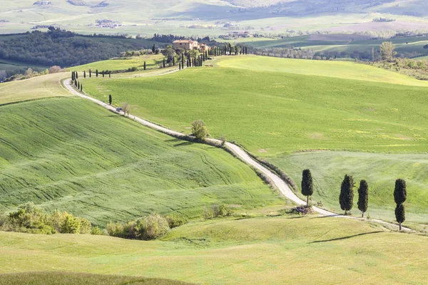 Tuscany landscape near Pienza village. — 图库照片