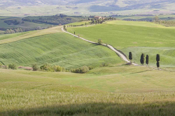 Tuscany landscape near Pienza village. — 图库照片