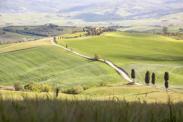 Tuscany landscape near Pienza village. — Stock Photo, Image