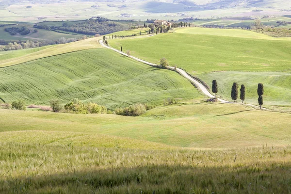 Paisaje en Toscana cerca de Pienza . — Foto de Stock