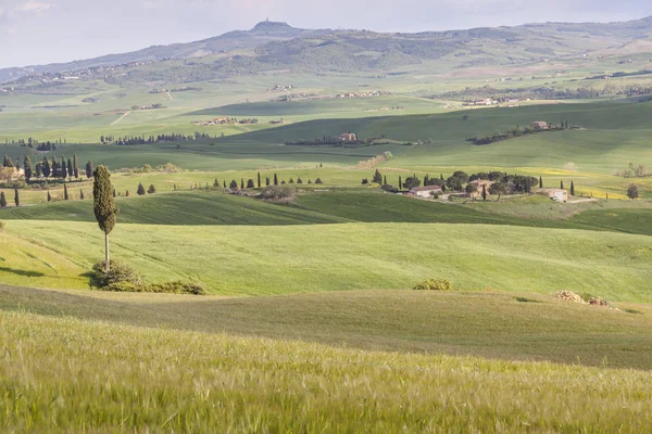 Toskánská krajina u obce Pienza. — Stock fotografie