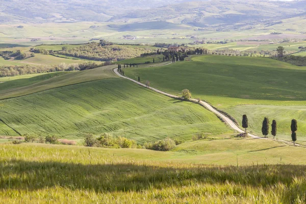 Toskánská krajina u obce Pienza. — Stock fotografie