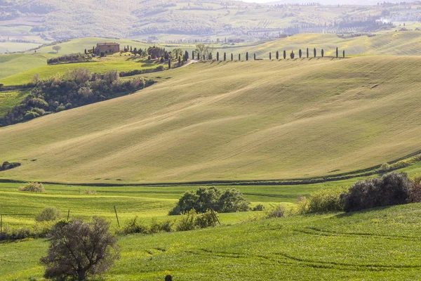 Tuscany landscape near Pienza village. — Stock Photo, Image