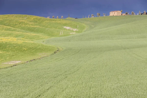 Paisagem da Toscana perto da aldeia Pienza . — Fotografia de Stock