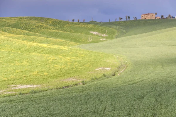Tuscany landscape near Pienza village. — 图库照片