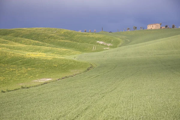 Tuscany landscape near Pienza village. — 图库照片