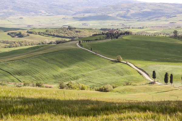 Tuscany landscape near Pienza village. Stock Picture