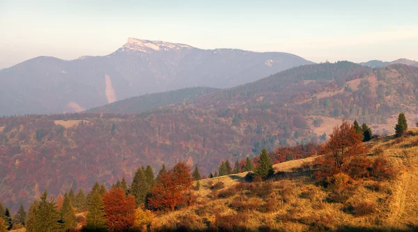 Mount Klak, Mala Fatra, Strazovske vrchy, Slovakya — Stok fotoğraf