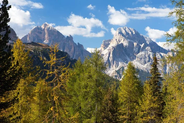Lärkträ och Le Tofane Gruppe, Dolomiti, Italien — Stockfoto