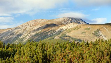 Romanya Karpati 'si, Retezat dağları