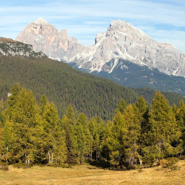 Larch wood and Le Tofane Gruppe, Dolomiti, Italy — Stock Photo, Image