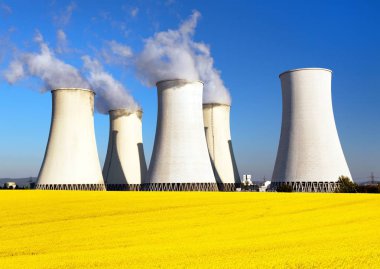  Nükleer enerji santrali, Soğutma Kulesi, kolza tohumu alan 