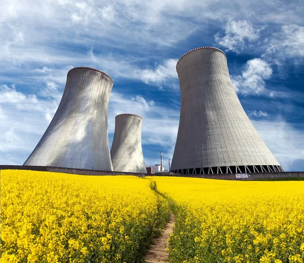 Cooling tower with golden flowering field of rapeseed — Stock Photo, Image