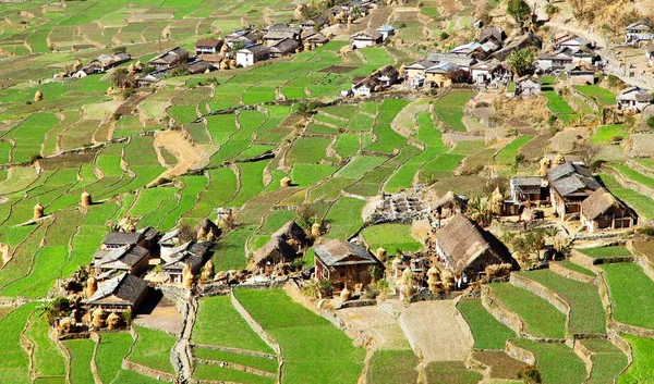 Villaggio Dogadi con riso terrazzato o risaia — Foto Stock