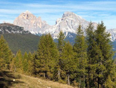 Melez (bitki) ahşap ve Le Tofane tur, Dolomiti, İtalya
