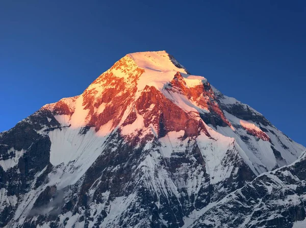 Abend Sonnenuntergang Blick auf Mount Dhaulagiri, Himalaya, Nepal — Stockfoto