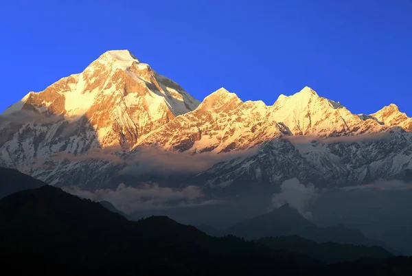 Mount Dhaulagiri, Himalayalar, Nepal gün batımı görünümü akşam — Stok fotoğraf