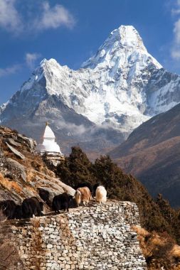 View of Ama Dablam with stupa and caravan of yaks clipart